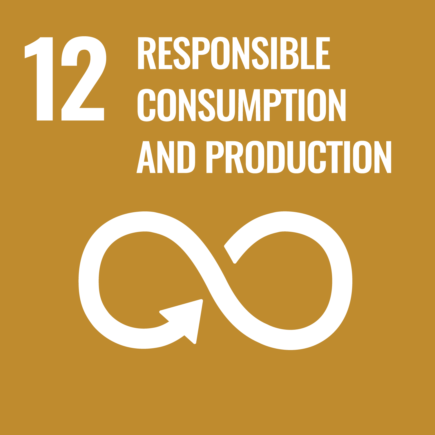 ODS 12: Producción y consumo responsables